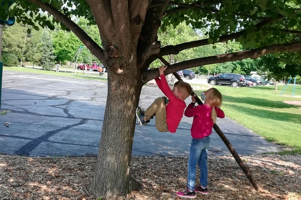 Boy and Girl climbing tree