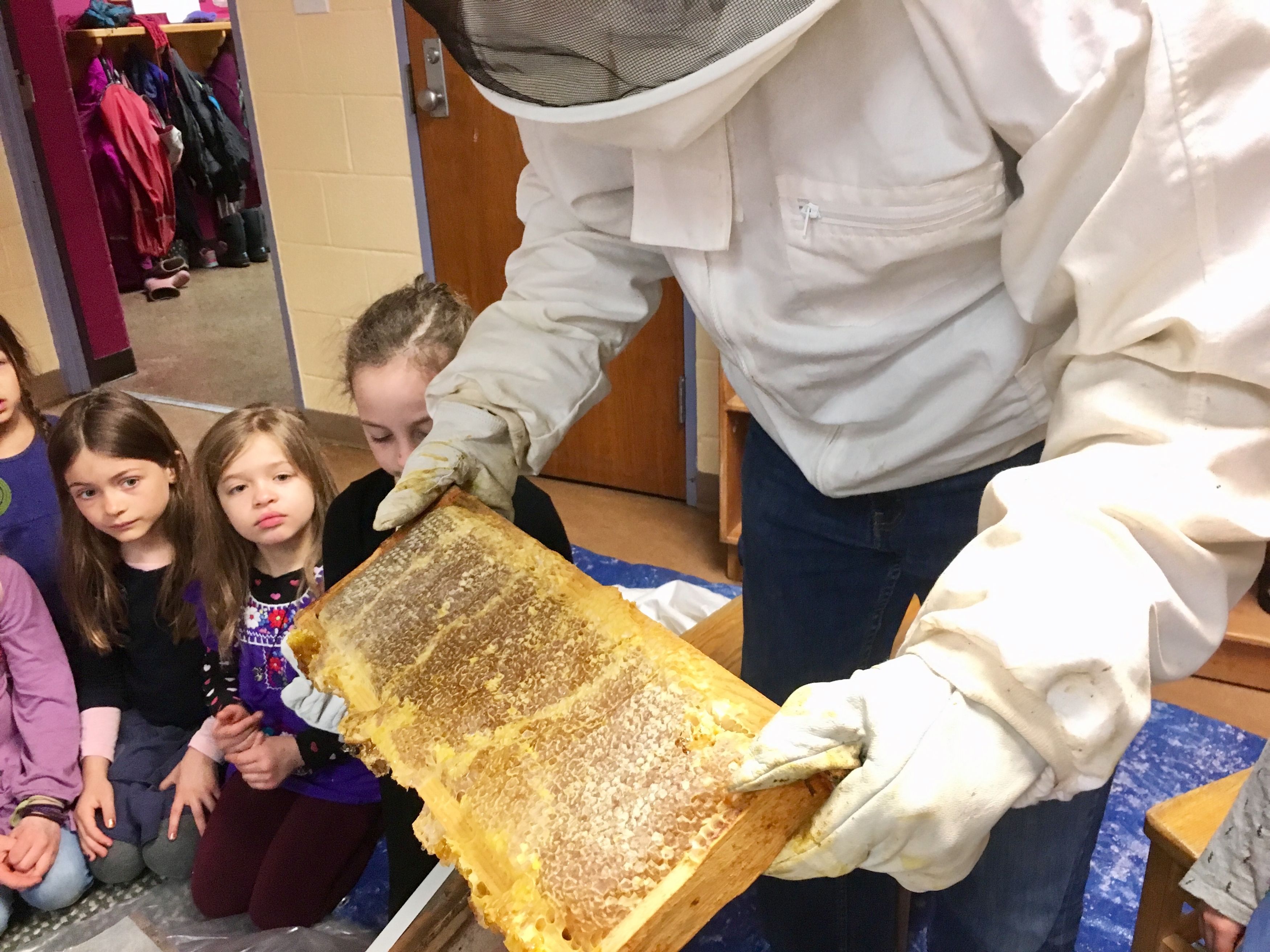 Bee Keeping Lesson