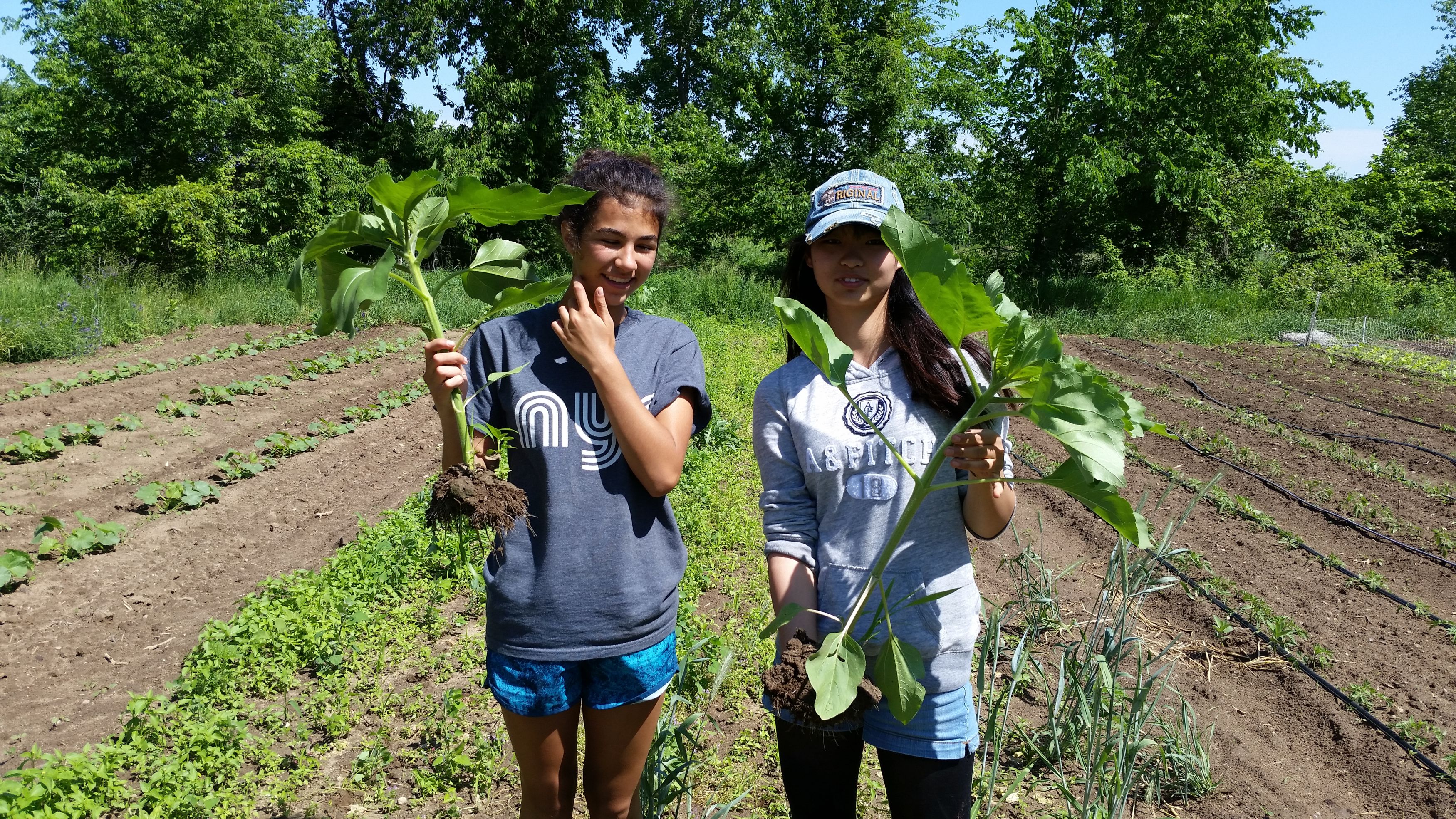 Gardening Club