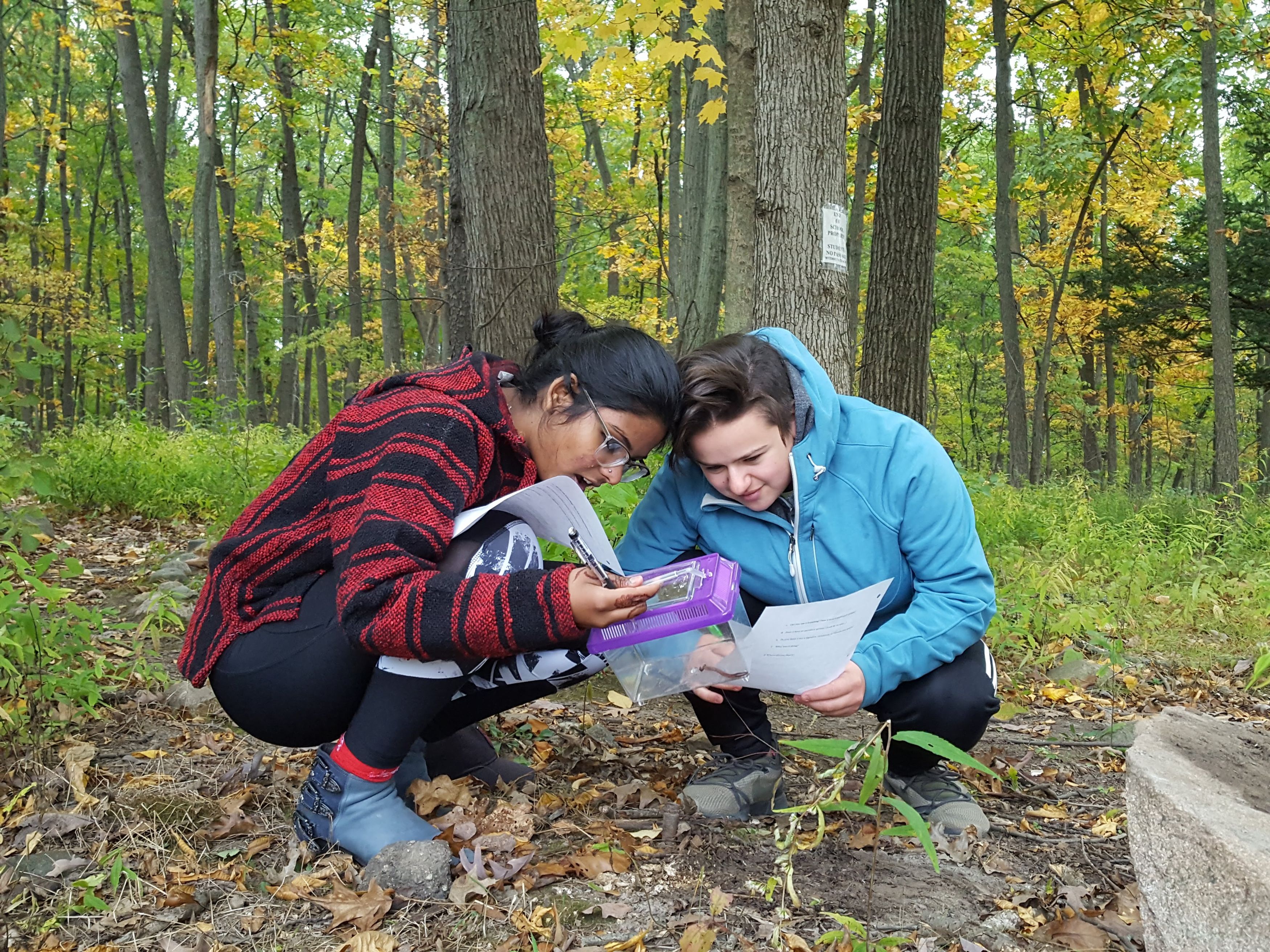 Two HS students studying insects outside