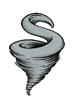 Steiner Storm Logo