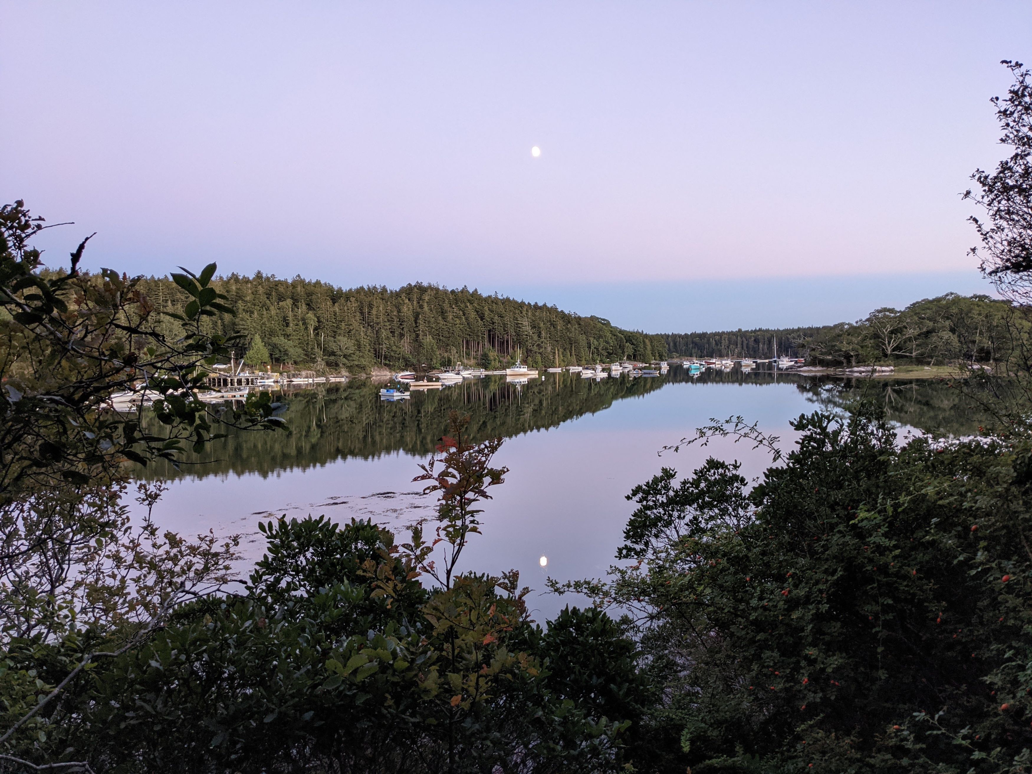 Along the Coast of Maine